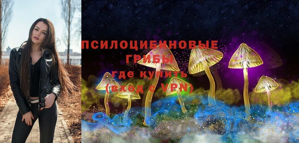 Альфа ПВП Алексин