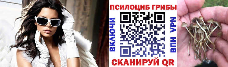 где купить   Апшеронск  Псилоцибиновые грибы Magic Shrooms 