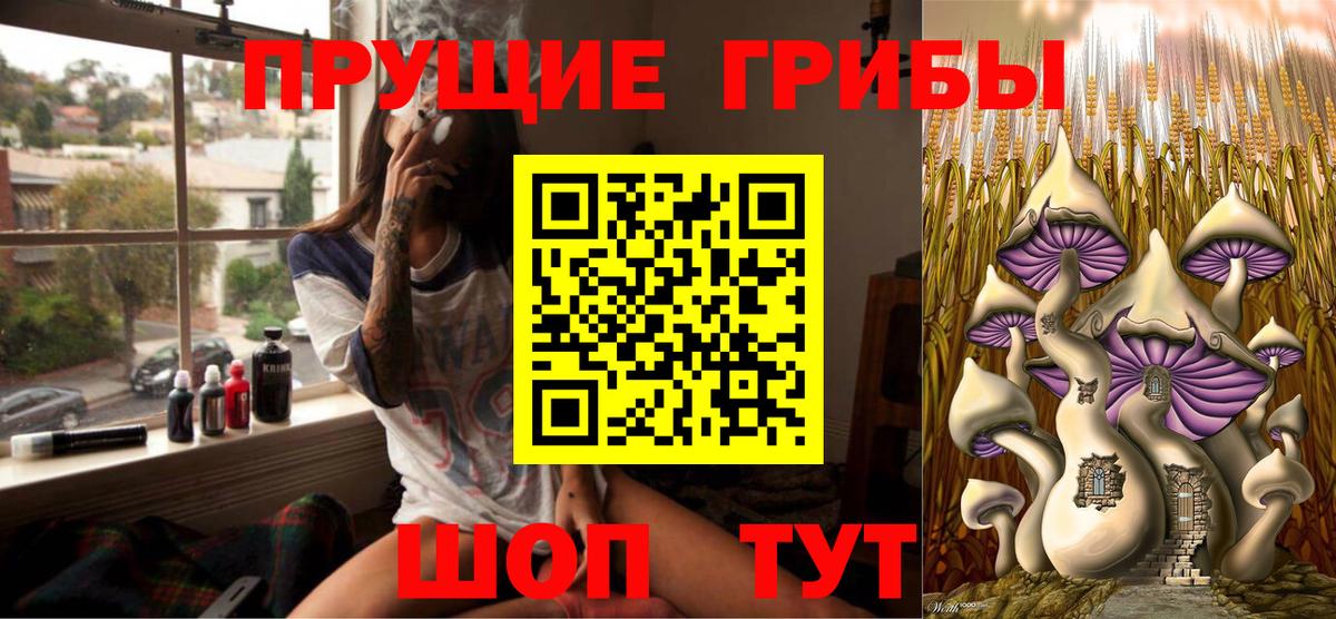 Псилоцибиновые грибы Psilocybine cubensis  Псилоцибиновые грибы прущие грибы  Апшеронск  Вход с VPN 