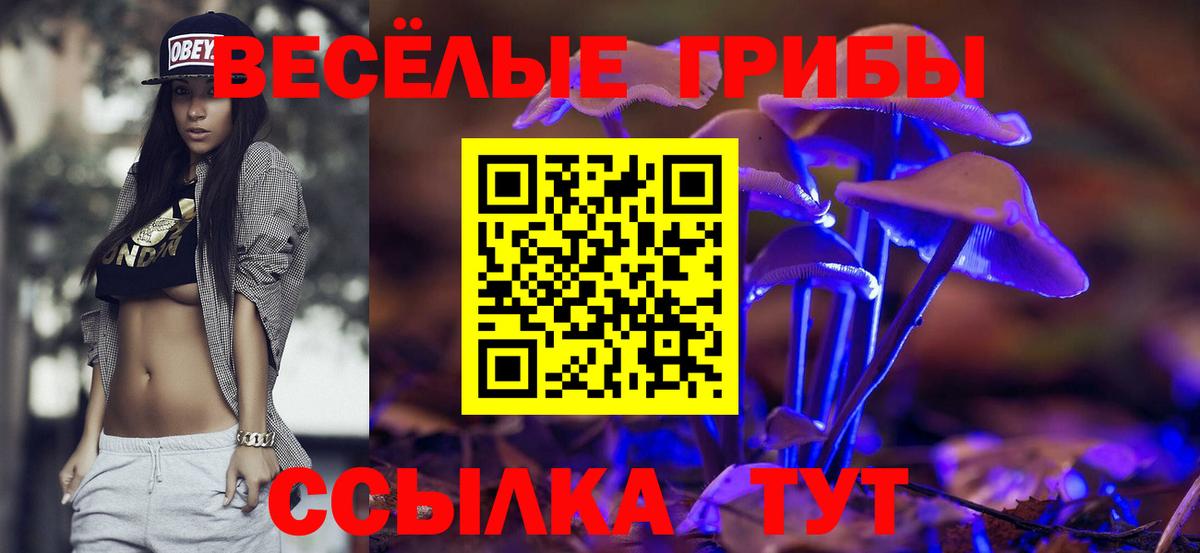 Псилоцибиновые грибы мицелий Апшеронск