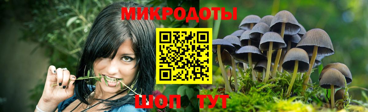 Псилоцибиновые грибы MAGIC MUSHROOMS Апшеронск